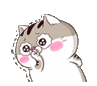 Ami shy :Amishy: :Amishy: