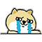 :chokhoc: