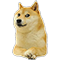 Chó :cho: :cho: